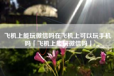 飞机上能玩微信吗在飞机上可以玩手机吗「飞机上能玩微信吗」 飞机上能玩微信吗在飞机上可以玩手机吗「飞机上能玩微信吗」