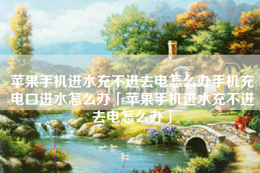 苹果手机进水充不进去电怎么办手机充电口进水怎么办「苹果手机进水充不进去电怎么办」