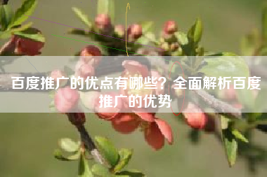 百度推广的优点有哪些？全面解析百度推广的优势