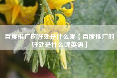 百度推广的好处是什么呢【百度推广的好处是什么呢英语】