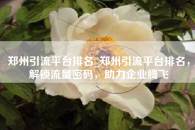 郑州引流平台排名_郑州引流平台排名，解锁流量密码，助力企业腾飞