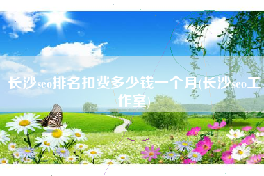 长沙seo排名扣费多少钱一个月(长沙seo工作室)
