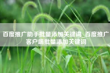 百度推广助手批量添加关键词_百度推广客户端批量添加关键词