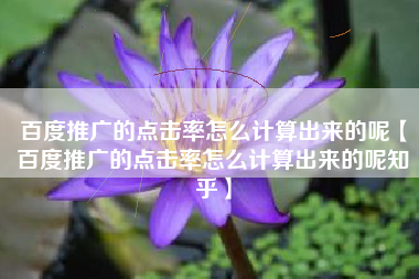 百度推广的点击率怎么计算出来的呢【百度推广的点击率怎么计算出来的呢知乎】