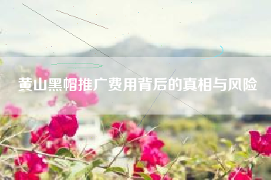 黄山黑帽推广费用背后的真相与风险