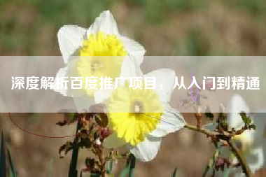 深度解析百度推广项目，从入门到精通