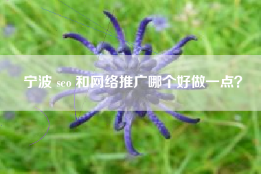 宁波 seo 和网络推广哪个好做一点？