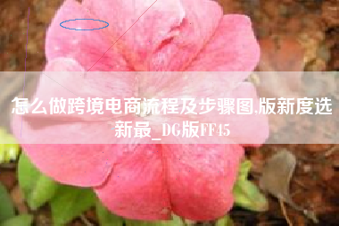 怎么做跨境电商流程及步骤图,版新度选新最_DG版FF45