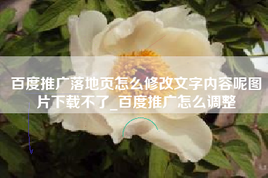 百度推广落地页怎么修改文字内容呢图片下载不了_百度推广怎么调整
