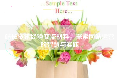 站长资讯经验交流材料，探索网站运营的智慧与实践
