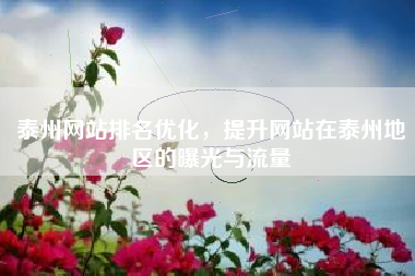 泰州网站排名优化，提升网站在泰州地区的曝光与流量