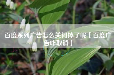 百度系列广告怎么关闭掉了呢【百度广告咋取消】