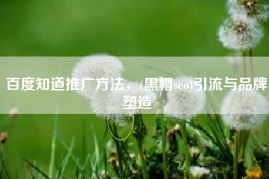 百度知道推广方法，(黑帽seo)引流与品牌塑造