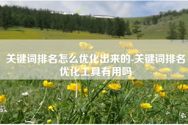 关键词排名怎么优化出来的-关键词排名优化工具有用吗