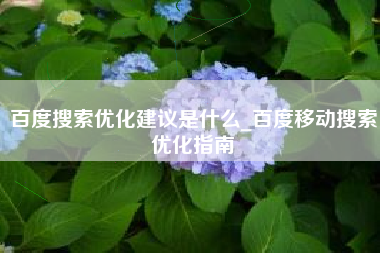 百度搜索优化建议是什么_百度移动搜索优化指南