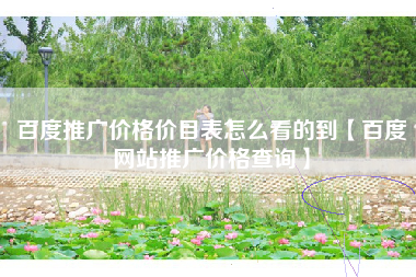 百度推广价格价目表怎么看的到【百度网站推广价格查询】
