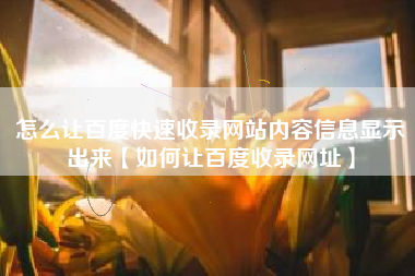 怎么让百度快速收录网站内容信息显示出来【如何让百度收录网址】
