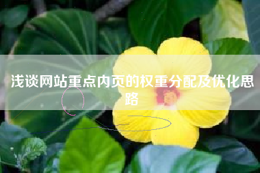 浅谈网站重点内页的权重分配及优化思路