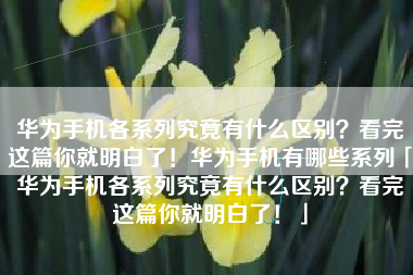 华为手机各系列究竟有什么区别？看完这篇你就明白了！华为手机有哪些系列「华为手机各系列究竟有什么区别？看完这篇你就明白了！」