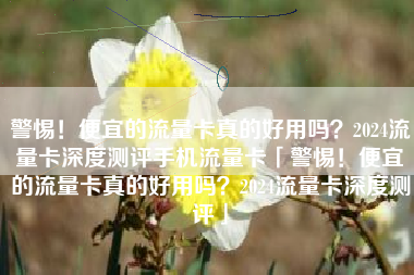 警惕！便宜的流量卡真的好用吗？2024流量卡深度测评手机流量卡「警惕！便宜的流量卡真的好用吗？2024流量卡深度测评」