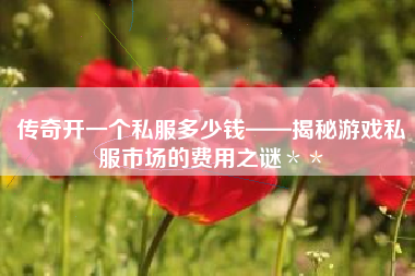传奇开一个私服多少钱——揭秘游戏私服市场的费用之谜＊＊