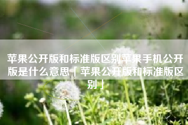 苹果公开版和标准版区别苹果手机公开版是什么意思「苹果公开版和标准版区别」