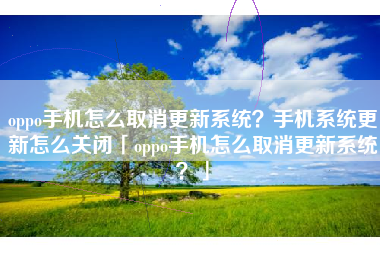 oppo手机怎么取消更新系统？手机系统更新怎么关闭「oppo手机怎么取消更新系统？」
