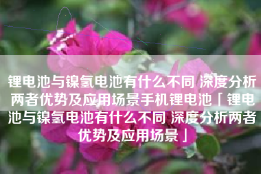 锂电池与镍氢电池有什么不同 深度分析两者优势及应用场景手机锂电池「锂电池与镍氢电池有什么不同 深度分析两者优势及应用场景」