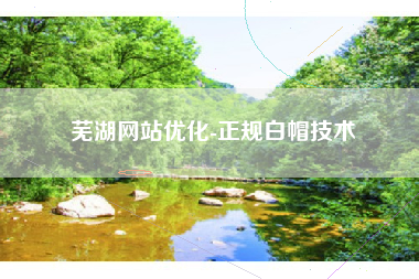 芜湖网站优化-正规白帽技术