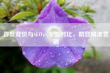 百度竞价与SEO，全面对比，助您精准营销