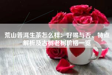 荒山普洱生茶怎么样：好喝与否、特点解析及古树老树价格一览