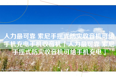 人力最可靠 索尼手摇式防灾收音机可给手机充电手机收音机「人力最可靠 索尼手摇式防灾收音机可给手机充电」 人力最可靠 索尼手摇式防灾收音机可给手机充电手机收音机「人力最可靠 索尼手摇式防灾收音机可给手机充电」
