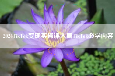 2024TikTok变现实操课入局TikTok必学内容