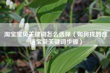 淘宝宝贝关键词怎么选择（如何找到合适宝贝关键词步骤）