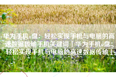华为手机u盘：轻松实现手机与电脑的高速数据传输手机关键词「华为手机u盘：轻松实现手机与电脑的高速数据传输」