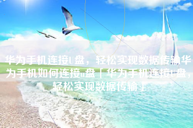 华为手机连接U盘，轻松实现数据传输华为手机如何连接u盘「华为手机连接U盘，轻松实现数据传输」