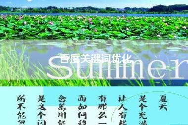 百度关键词优化