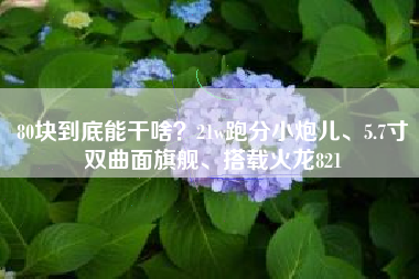 80块到底能干啥？21w跑分小炮儿、5.7寸双曲面旗舰、搭载火龙821