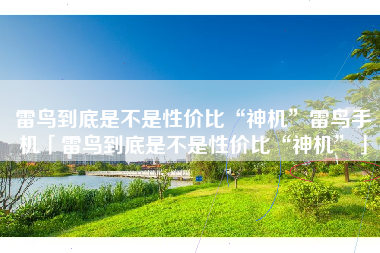 雷鸟到底是不是性价比“神机”雷鸟手机「雷鸟到底是不是性价比“神机”」