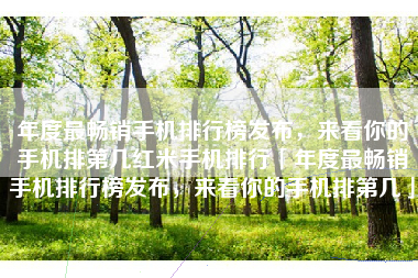 年度最畅销手机排行榜发布，来看你的手机排第几红米手机排行「年度最畅销手机排行榜发布，来看你的手机排第几」