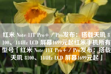 红米 Note 11T Pro+／Pro发布：搭载天玑 8100、144Hz LCD 屏幕1699元起红米手机所有型号「红米 Note 11T Pro+／Pro发布：搭载天玑 8100、144Hz LCD 屏幕1699元起」