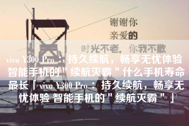 vivo Y300 Pro ：持久续航，畅享无忧体验 智能手机的＂续航灭霸＂什么手机寿命最长「vivo Y300 Pro ：持久续航，畅享无忧体验 智能手机的＂续航灭霸＂」