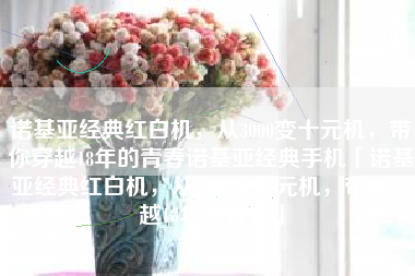 诺基亚经典红白机，从3000变十元机，带你穿越18年的青春诺基亚经典手机「诺基亚经典红白机，从3000变十元机，带你穿越18年的青春」