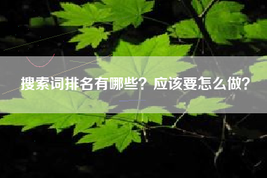 搜索词排名有哪些？应该要怎么做？