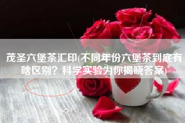茂圣六堡茶汇印(不同年份六堡茶到底有啥区别？科学实验为你揭晓答案)