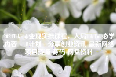 2024TikTok变现实操课程，入局TikTok必学内容 –B计划—分享创业资讯-最新网络项目资源-源码-网盘资料
