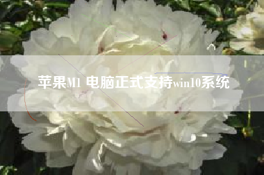 苹果M1 电脑正式支持win10系统