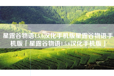 星露谷物语1.5.6汉化手机版星露谷物语手机版「星露谷物语1.5.6汉化手机版」
