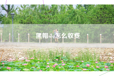 黑帽seo怎么收费