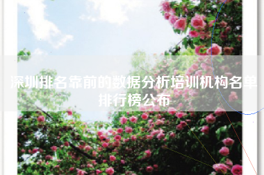 深圳排名靠前的数据分析培训机构名单排行榜公布